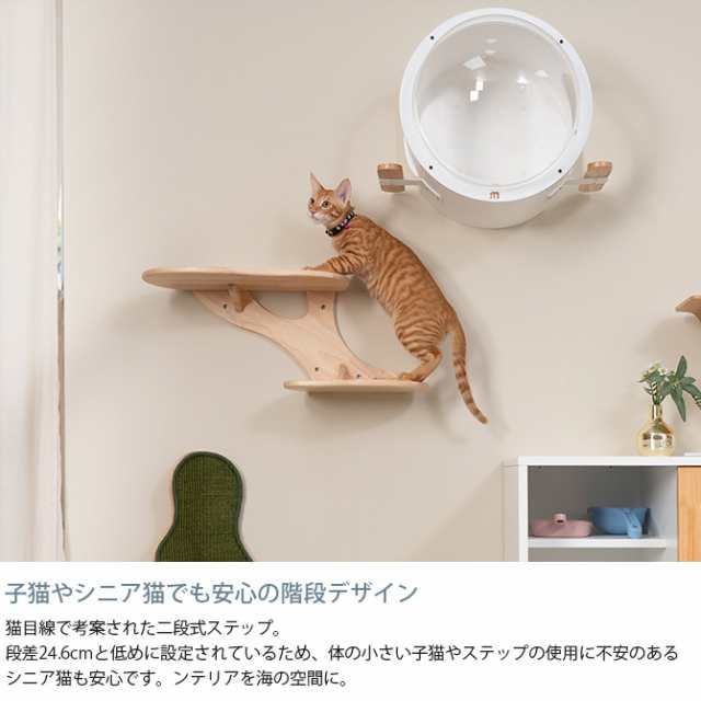 子猫やシニア猫向けの低めの段差付きキャットタワー - 猫用品