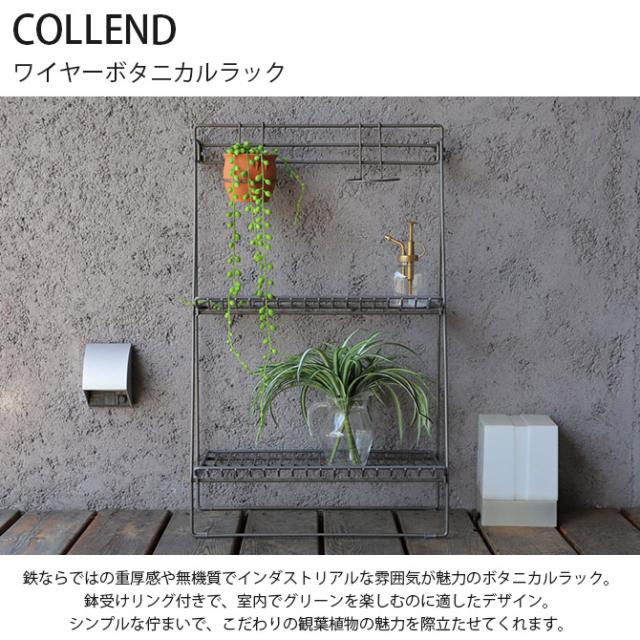 COLLEND コレンド ワイヤーボタニカルラック ラック