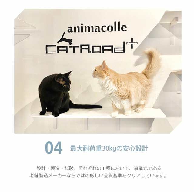 animacolle アニマコレ Catroad+ ロングステップ 幅90cm 猫 キャット