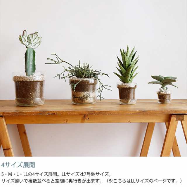 shesay シセイ リューズガラス プレート付き フラワーポット