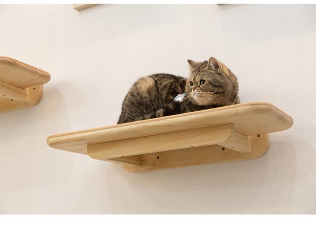 MYZOO マイズー キャットステップ CORK コルク キャットステップ 猫