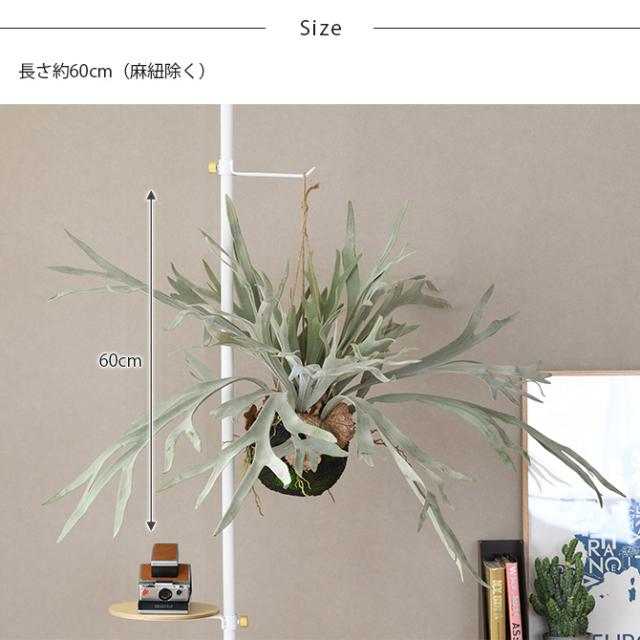 Brown. ブラウン フェイクグリーン ビカクシダ ハンギングボール 60 フェイクグリーン おしゃれ ハンギング シダ 人工観葉植物 グリーン インテリア 造花 吊るす ペット_9