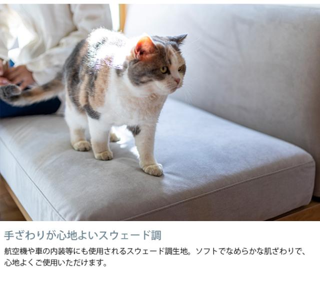 Fumi フミ 無駄のないソファ ベース S ペット対応素材 ソファ ソファー オットマン 1人掛け 引っかきに強い ペット 犬 猫 撥水 洗える_3