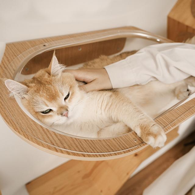 MYZOO マイズー Aura 星河キャットベッド 猫用 キャットステップ ベッド 透明　クリア クリアボール おしゃれ MYZOO マイズー インテリア_1