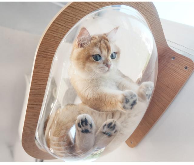 MYZOO マイズー Aura 星河キャットベッド 猫用 キャットステップ ベッド 透明　クリア クリアボール おしゃれ MYZOO マイズー インテリア_3