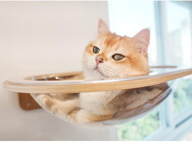 MYZOO マイズー Aura 星河キャットベッド 猫用 キャットステップ ベッド 透明　クリア クリアボール おしゃれ MYZOO マイズー インテリア_4