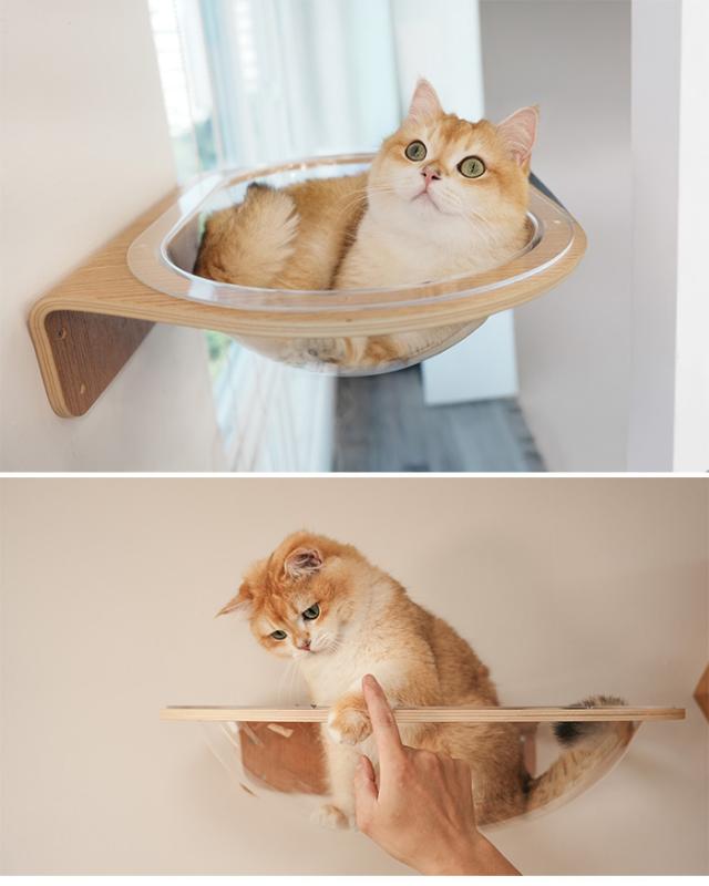 MYZOO マイズー Aura 星河キャットベッド 猫用 キャットステップ ベッド 透明　クリア クリアボール おしゃれ MYZOO マイズー インテリア_6