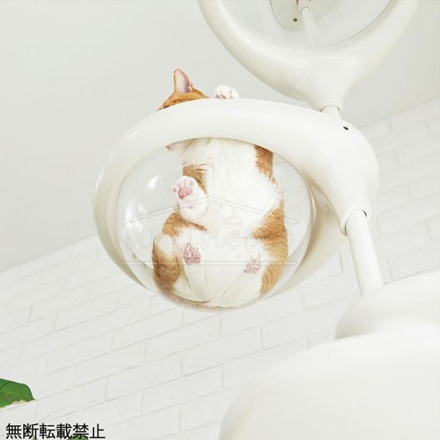OPPO オッポ Clear Bowl クリアボール 猫用 ペット キャットタワー