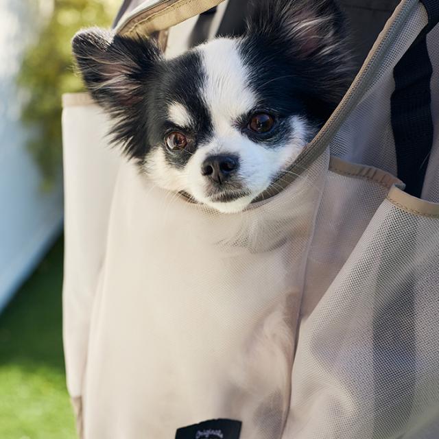 MANDARINE BROTHERS マンダリンブラザーズ メッシュウィンストンハグバッグ  犬用 ペット用 前抱き抱っこ リュック　バックパック メッシュ 夏　涼しい　通気性 ユニセックス_8