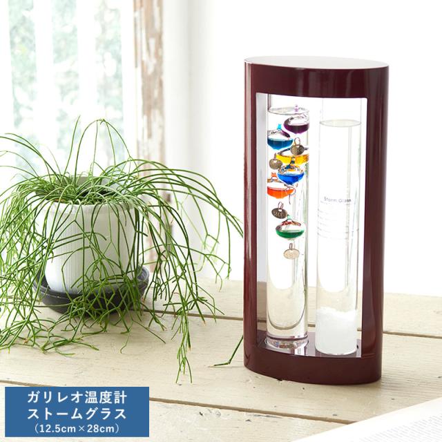 ガリレオ温度計＆ストームグラス 12.5cm×28cm オブジェ モダン かっこいい 男性 大人 知的 理系 好き プレゼント ギフト