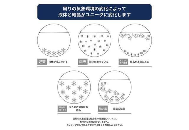 ガリレオ温度計＆ストームグラス 12.5cm×28cm オブジェ モダン かっこいい 男性 大人 知的 理系 好き プレゼント ギフト_6