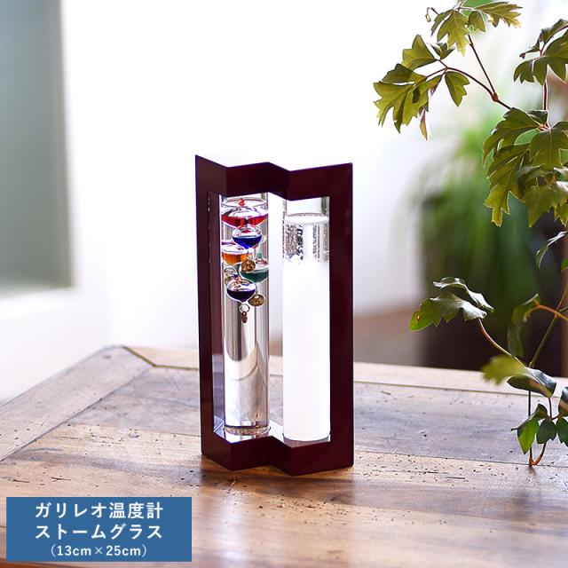 ガリレオ温度計＆ストームグラス 13cm×25cm オブジェ モダン かっこいい 男性 大人 知的 理系 好き プレゼント ギフト