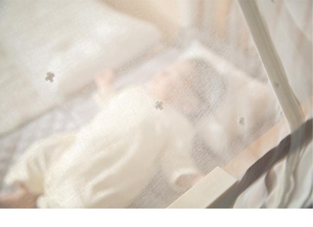 farska ファルスカ フラッグシップライン キャノピークリエイティブコット Long 専用 746236 日よけ 風よけ 虫よけ 蚊帳  【送料無料】の通販は