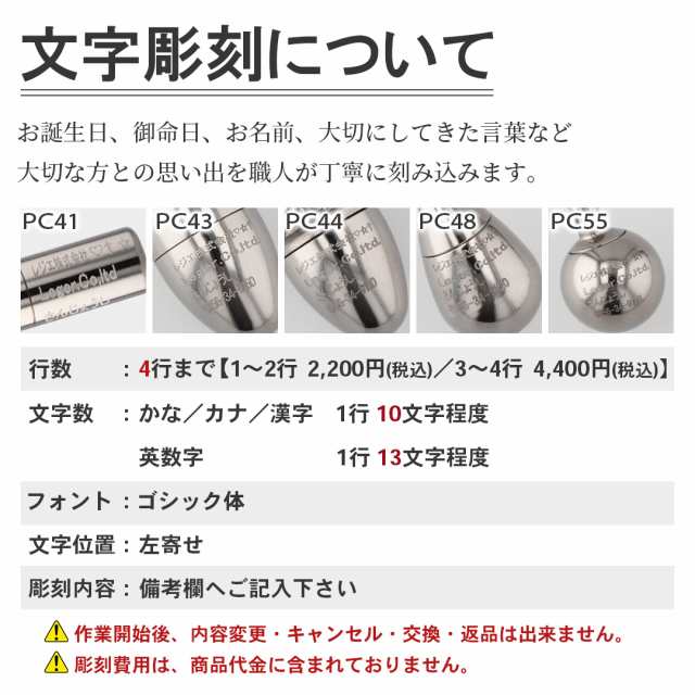 即日対応 チタン 純チタン 遺骨ペンダント PC44-1 60cm ネックレス付き どんぐりタイプ 名入れ 可 メモリアルネックレス メモリアルペン