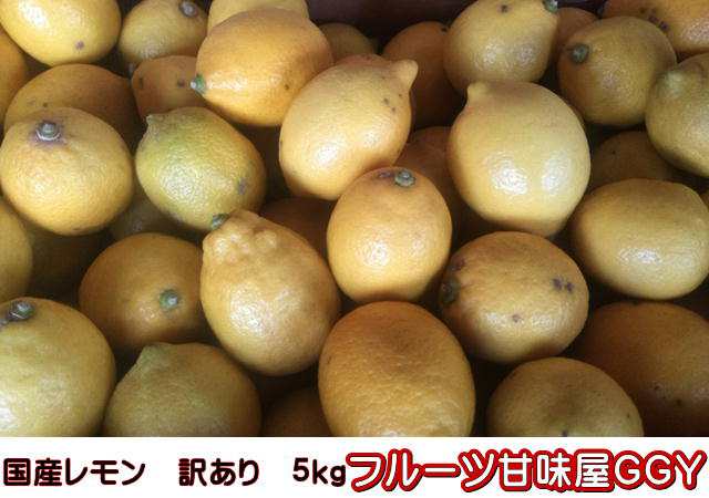 国産レモン 訳あり 約5ｋｇ 熊本産 リスボン マイヤー グランドレモン 80サイズの通販はau Pay マーケット フルーツ甘味屋ｇｇｙ