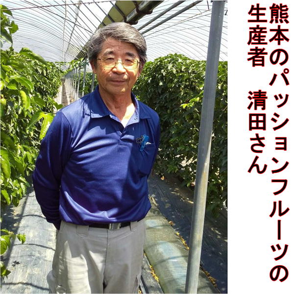 パッションフルーツ　大容量　4ｋｇ　熊本産　清田さんのパッションフルーツ　80サイズ_1