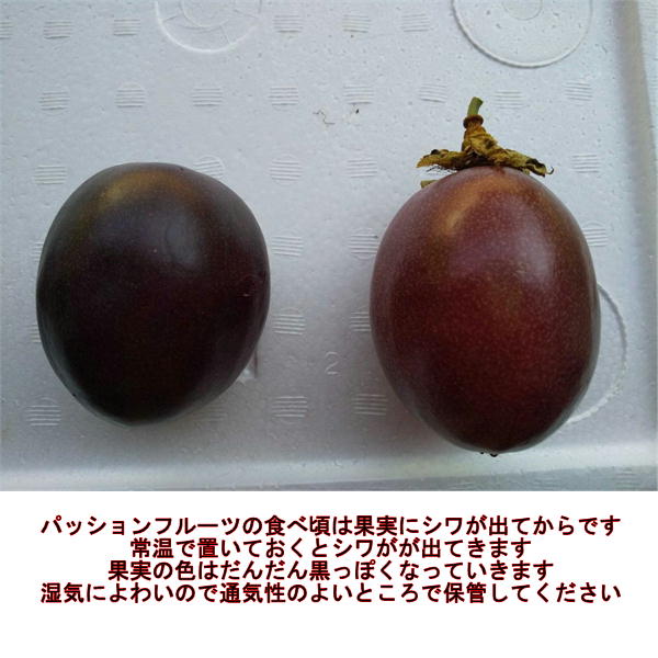 パッションフルーツ　大容量　4ｋｇ　熊本産　清田さんのパッションフルーツ　80サイズ_6