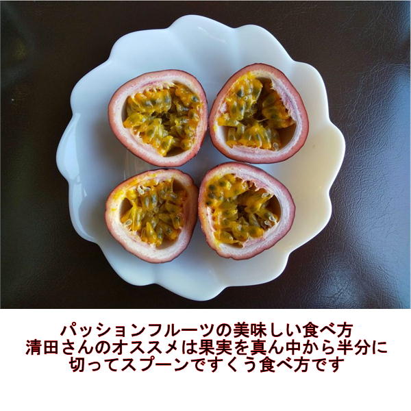 パッションフルーツ　大容量　4ｋｇ　熊本産　清田さんのパッションフルーツ　80サイズ_7