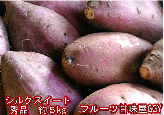 シルクスイート 秀品 蔵出し 約5ｋｇ サイズさつまいも 蜜芋 熊本産