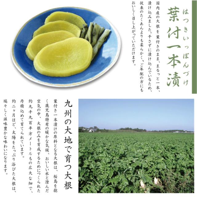 葉付一本漬 国産 まるごと だいこん 大根 はっぱつき たくあん 沢庵 いっぽんの通販はau Pay マーケット 丹波おおみつや 八庵