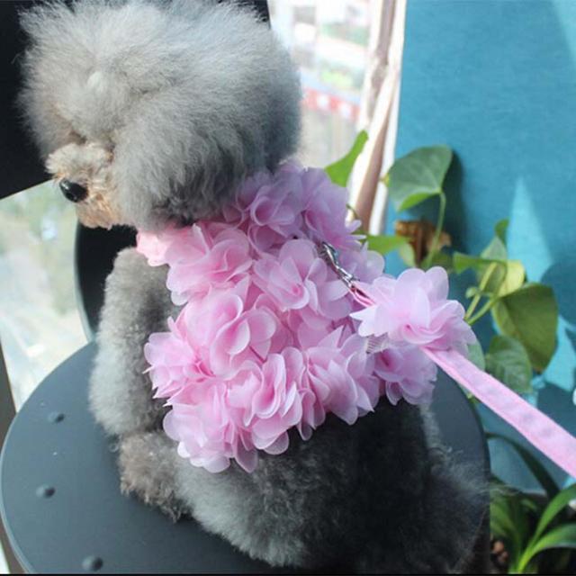 胴輪 ドッググッズ　ベストハーネス　犬 ドッグ　散歩　ペット用シートベルト　犬用　ドック用品　1203 cw-180808-15