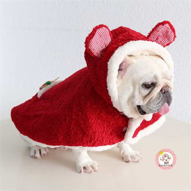 犬のクリスマス コスプレ衣装 - 犬 サンタ クロース 休日の衣装 ペット ..., 画像サイズ:640x640