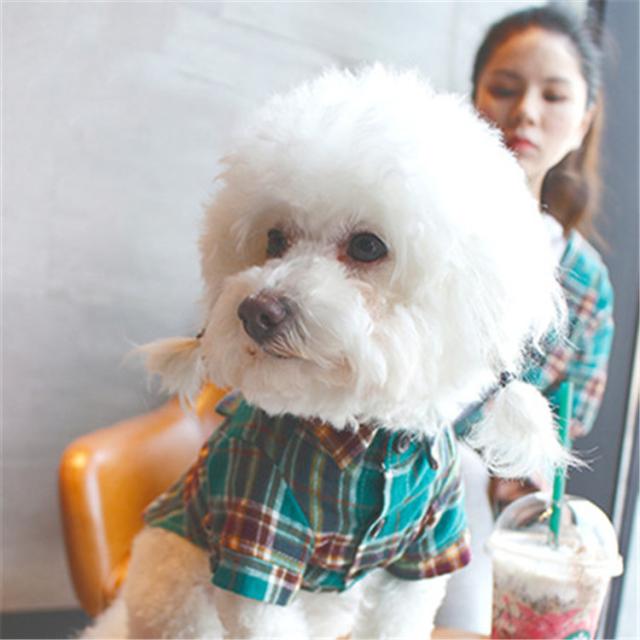 犬ワンピ ペットペアルック ワンちゃんとのペアルック洋服 犬服 犬の服 ペット服 ペアルック ペット ドッグウェア Cw 0314 15の通販はau Pay マーケット 東京キャベツ