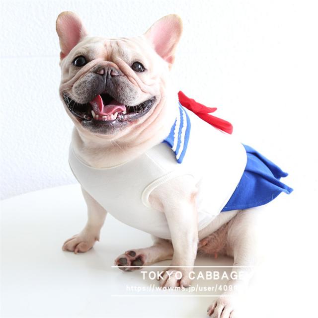 犬ブルドックコスチュームコスプレ子供帽子ハンドメイド生活発表会春