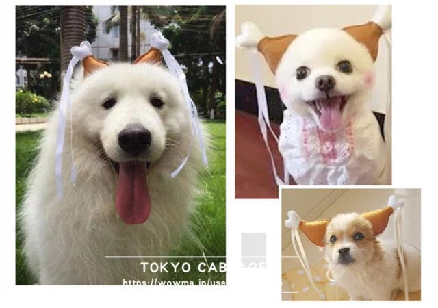 おもしろいこコスチューム ペット イヌ ネコ ペット用 被り物 チキン足 クリスマス 犬猫面白い帽子 犬チキン被り物 犬の帽子 猫のの通販はau Pay マーケット 東京キャベツ