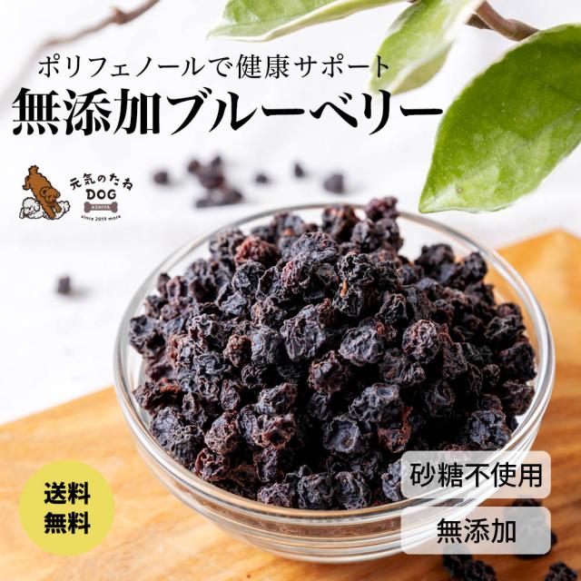 犬 おやつ 無添加 ブルーベリー 500g 砂糖不使用 送料無料 犬のおやつ 元気のたねの通販は 4,914円