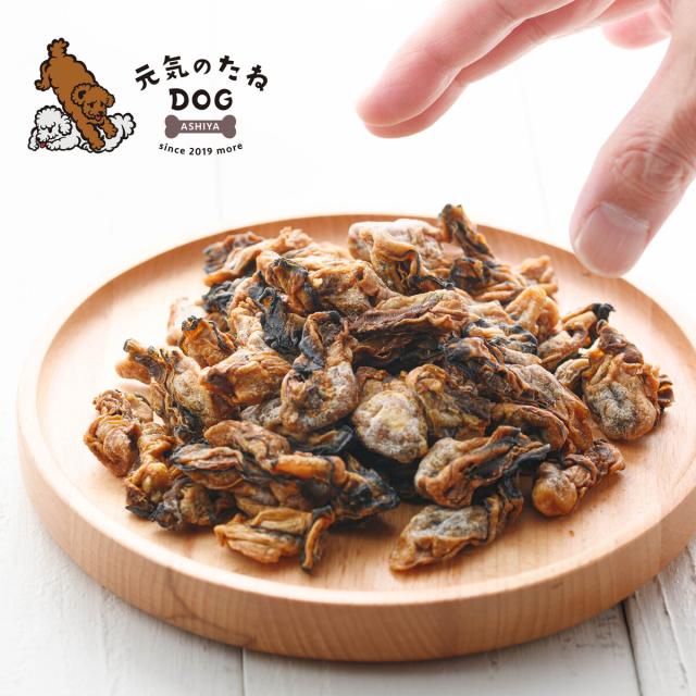 元気のたね 犬 おやつ 無添加 国産 乾燥 牡蠣（かき）500g 大容量 ｜広島県産｜元気のたね｜瀬戸の牡蠣元気 ドックフード 犬のおやつ 犬のオヤツ 犬用おやつ_2