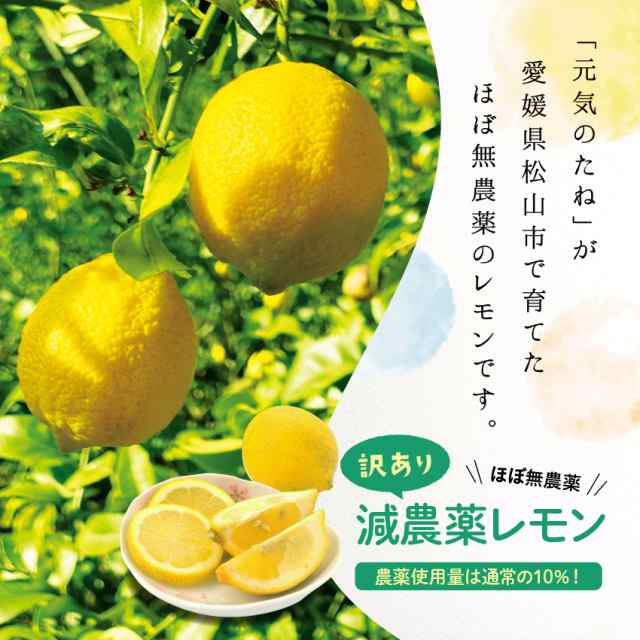 訳あり][農薬不使用]広島県産完熟レモン4kg - 果物