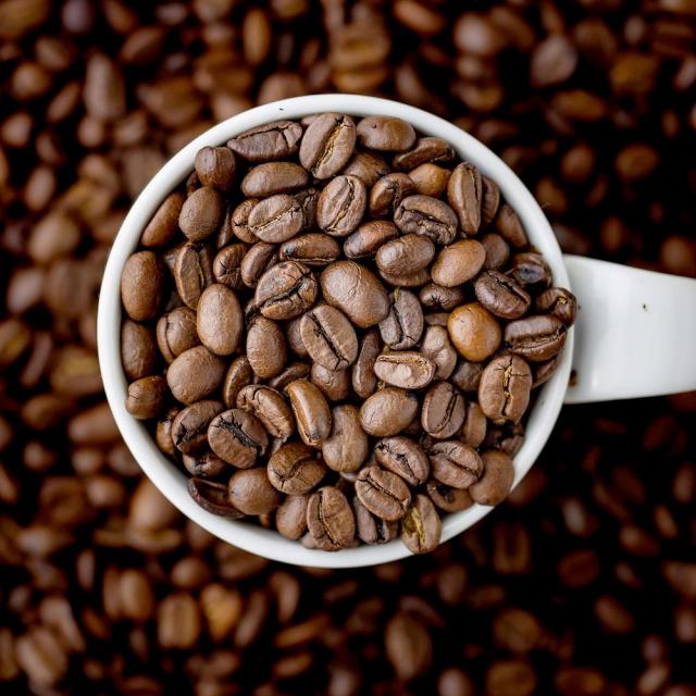 コーヒー豆 コーヒー ギフト 趣omomuki 0g 珈琲 送料無料 スペシャルティコーヒー 専門店 お試し販売中 の通販はau Pay マーケット 元気のたねkfv