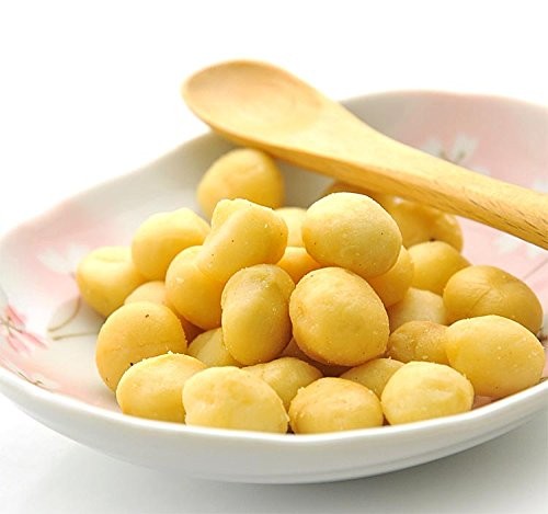マカダミアナッツ 塩味 900g 無添加 マカダミア 送料無料
