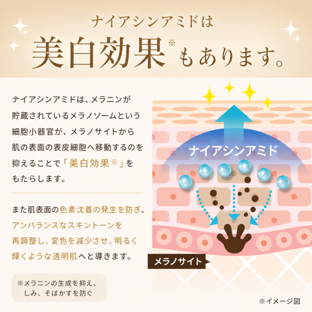 おでこのシワ、ほうれい線、目元のシワ改善 シワ取りクリーム