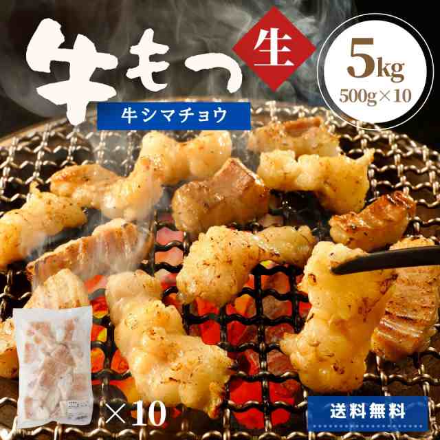 牛ホルモン 5kg（500g×10P）焼肉 しま腸 送料無料 牛肉 肉 ホルモン 大腸 シマチョウ 冷凍 冷凍食品 お肉 もつ もつ煮込み もつ鍋 焼肉