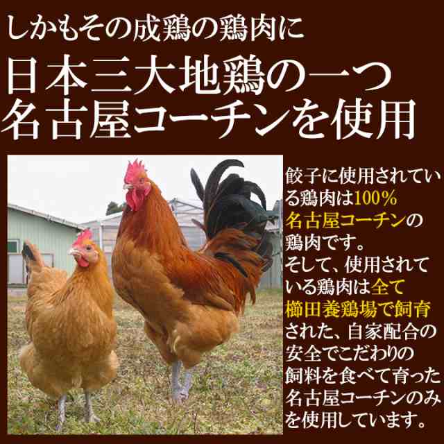 櫛田養鶏場オリジナル商品 八丁味噌名古屋コーチン餃子 60個入り 30個入り 2袋 数量限定品のため一度のご注文でお一人様2セットまの通販はau Pay マーケット 櫛田養鶏場