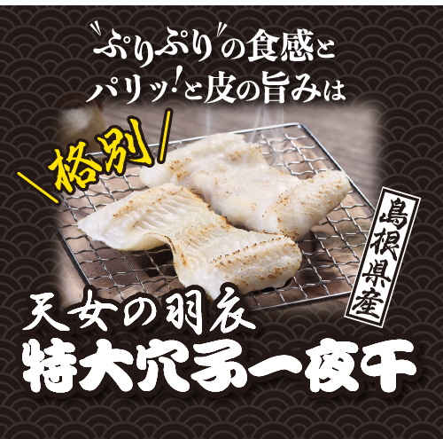 天女の羽衣 特大穴子一夜干 250g 2尾 一日漁 真あなご 特大 一夜干 干物 島根 国産 ギフト お取り寄せ 産地直送 岡富 お歳暮 産直 の通販はau Pay マーケット お酒の専門店リカマン