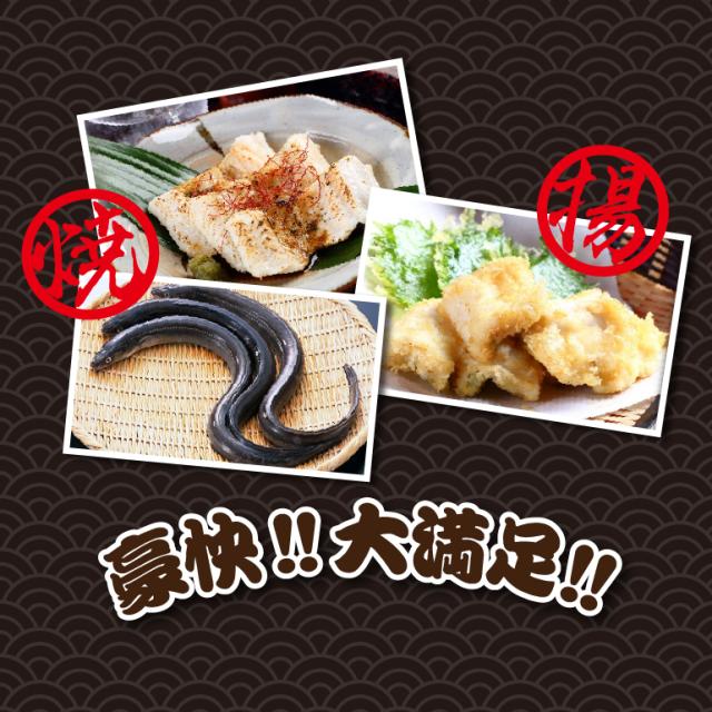 天女の羽衣 特大穴子一夜干 250g 2尾 一日漁 真あなご 特大 一夜干 干物 島根 国産 ギフト お取り寄せ 産地直送 岡富 お歳暮 産直 の通販はau Pay マーケット お酒の専門店リカマン