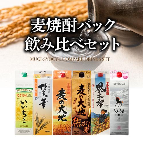 送料無料 麦焼酎 パック 飲み比べ 6本セット 1.8L 25度 いいちこ 麦