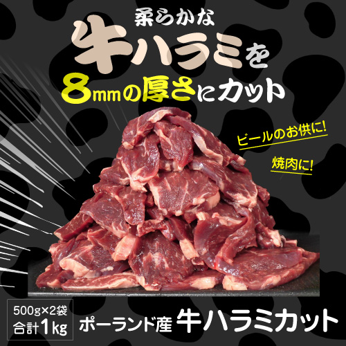 ハラミ　まとめ買い 楽天市場】焼肉・煮物に！アメリカ産牛肉 すじハラミ200g毎に