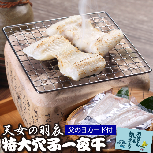 天女の羽衣 特大穴子一夜干 250g 2尾 一日漁 真あなご 特大 一夜干 干物 島根 国産 ギフト お取り寄せ 産地直送 岡富 お歳暮 産直 の通販はau Pay マーケット お酒の専門店リカマン