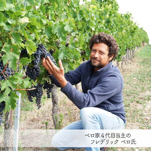 1本あたり1,(税込) 送料無料 グラン ベロ ボルドー ブラン 12本 750ml フランス ワインケース 長S