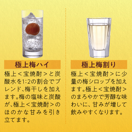 4/26限定 Pontaパス会員様のみ ポイント5％還元 極上宝焼酎 25度 4000ml×4本 1ケース 焼酎甲類 KOB_11