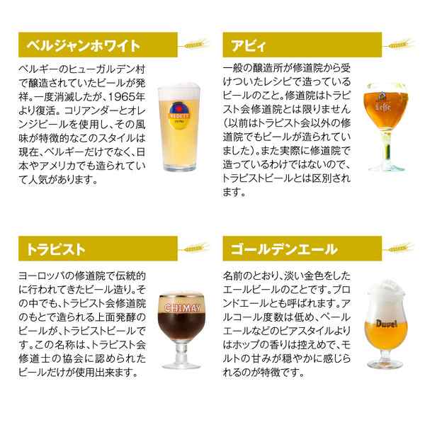 ベルギービール10種10本セット 送料無料 ベルギー 輸入ビール 飲み比べ 詰め合わせ 長S｜au PAY マーケット