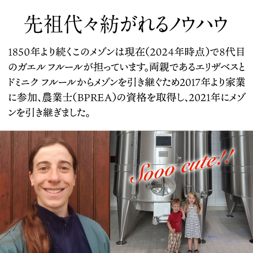 送料無料 ドミニク フルール ミレジメ グランクリュ 2015 750ml ミレジム 特級 辛口 シャンパーニュ 浜運