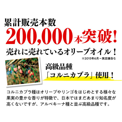 ( 1L換算1,800円) コールドプレス製法 スペイン産 オリーブオイル エキストラバージン 3L ペットボトル ブエンエスパシオ 長S_2