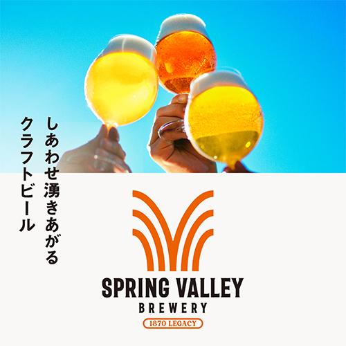 キリン スプリングバレー 豊潤496 500ml×24本 送料無料 SPRING VALLEY 国産 クラフトビール 長S