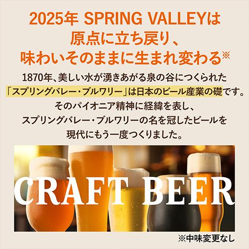 キリン スプリングバレー 豊潤496 500ml×24本 送料無料 SPRING VALLEY 国産 クラフトビール 長S