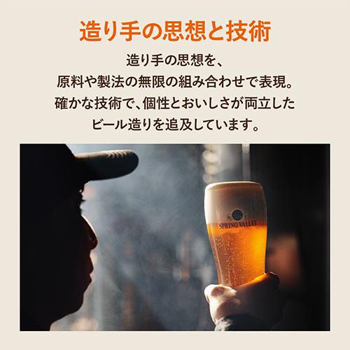 キリン スプリングバレー 豊潤496 500ml×24本 送料無料 SPRING VALLEY 国産 クラフトビール 長S